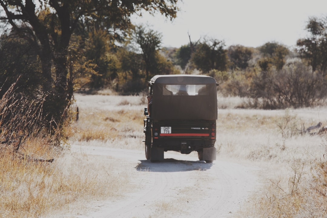 Photo Sweet potato truck